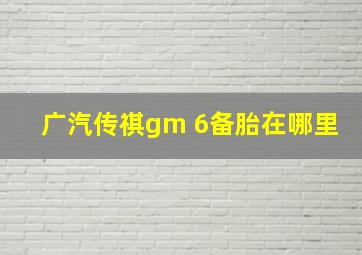 广汽传祺gm 6备胎在哪里